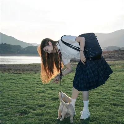 小叮当:羽翼之谜